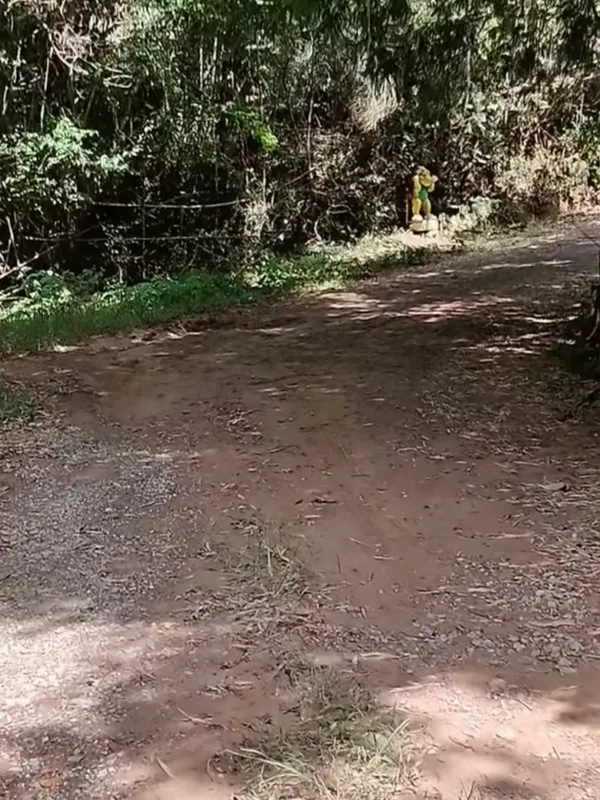 Chácara em Nazaré Paulista/São Paulo — Ref OPERGE — Imagem 47