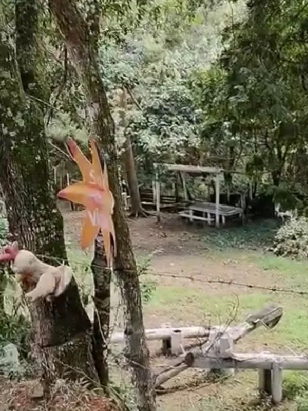 Chácara em Nazaré Paulista/São Paulo — Ref OPERGE — Imagem 37