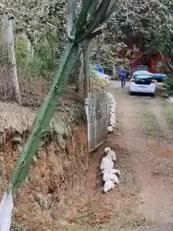Chácara em Nazaré Paulista/São Paulo — Ref OPERGE — Imagem 38