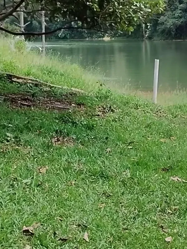 Chácara em Nazaré Paulista/São Paulo — Ref OPERGE — Imagem 42