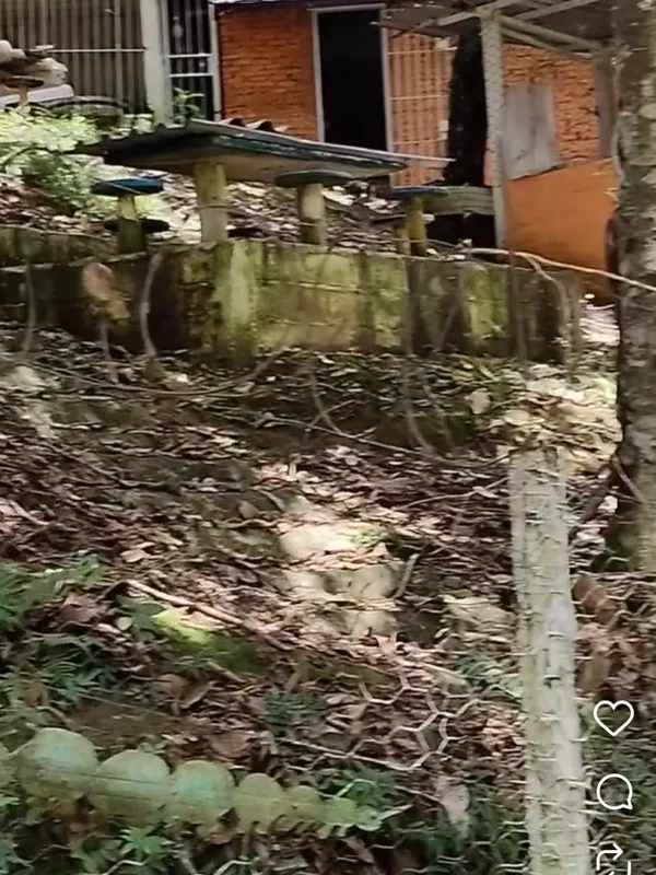 Chácara em Nazaré Paulista/São Paulo — Ref OPERGE — Imagem 49