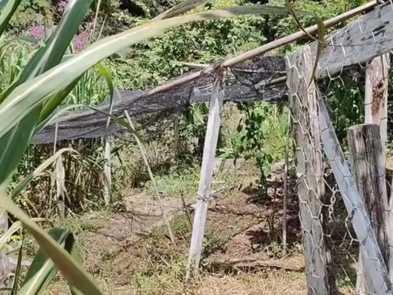 Chácara em Nazaré Paulista/São Paulo — Ref OPERGE — Imagem 52