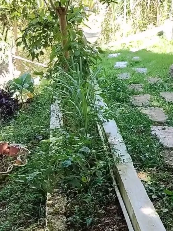 Chácara em Nazaré Paulista/São Paulo — Ref OPERGE — Imagem 54
