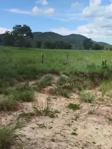 Fazenda em Jussara/Goiás — Ref 4GAIP6 — Imagem 6