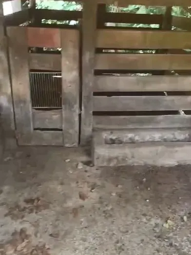 Fazenda em Jussara/Goiás — Ref 4GAIP6 — Imagem 12