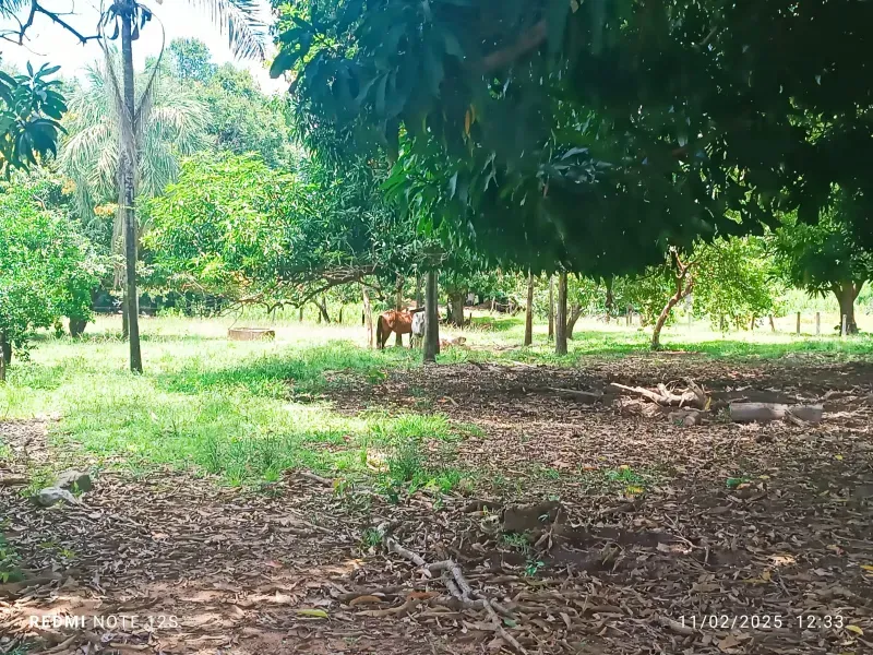 Fazenda em Jussara/Goiás — Ref KFSGLY — Imagem 12