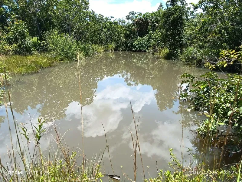 Fazenda em Jussara/Goiás — Ref KFSGLY — Imagem 15