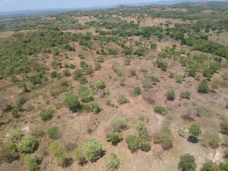 Fazenda em Itapirapuã/Goiás — Ref E0SJEW — Imagem 6