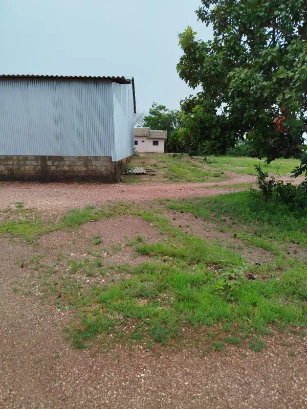 Fazenda em Dois Irmãos do Tocantins/Tocantins — Ref 8Y58V6 — Imagem 9