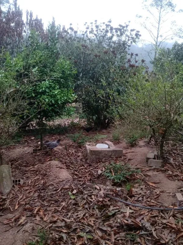 Chácara em Mogi das Cruzes/São Paulo — Ref BL56AP — Imagem 7