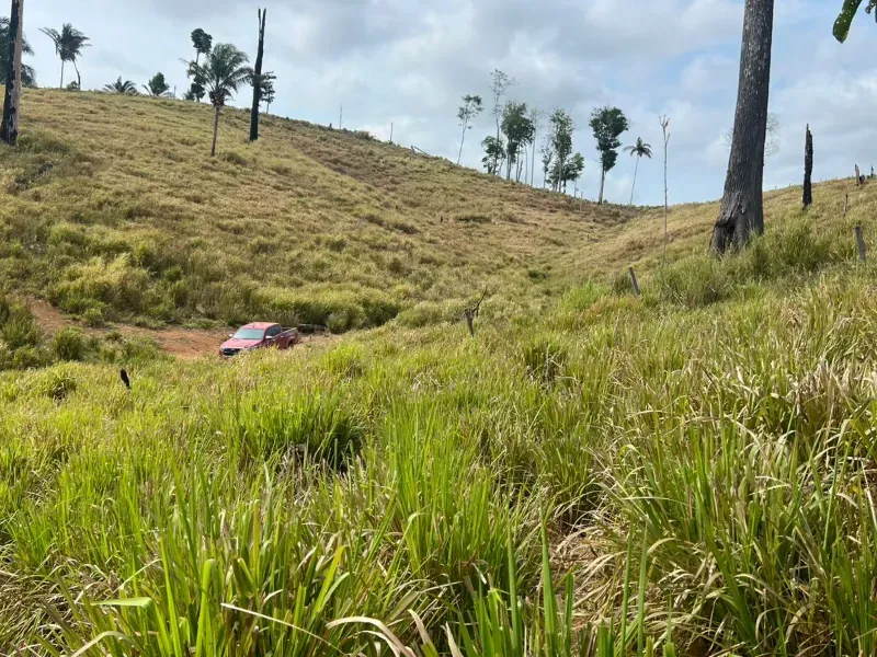 Fazenda em Pacajá/Pará — Ref W732NU — Imagem 6
