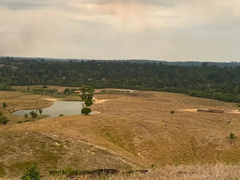 Fazenda em Pacajá/Pará — Ref W732NU — Imagem 2