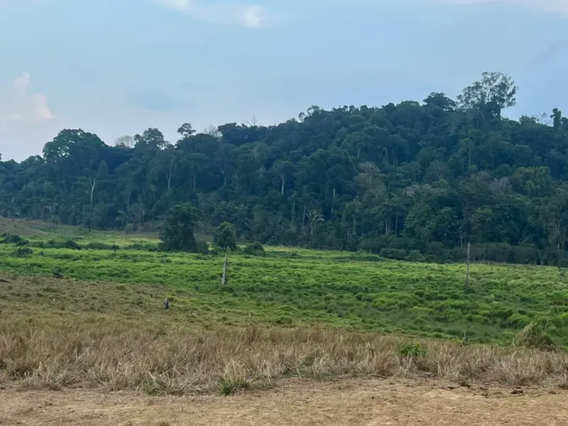 Fazenda em Pacajá/Pará — Ref W732NU — Imagem 5