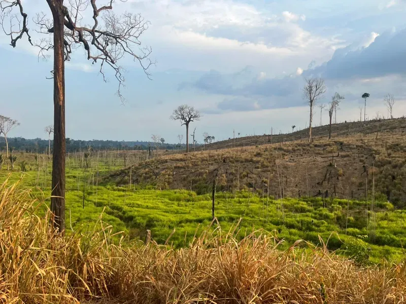 Fazenda em Pacajá/Pará — Ref W732NU — Imagem 7