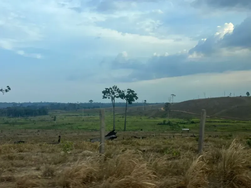 Fazenda em Pacajá/Pará — Ref W732NU — Imagem 4