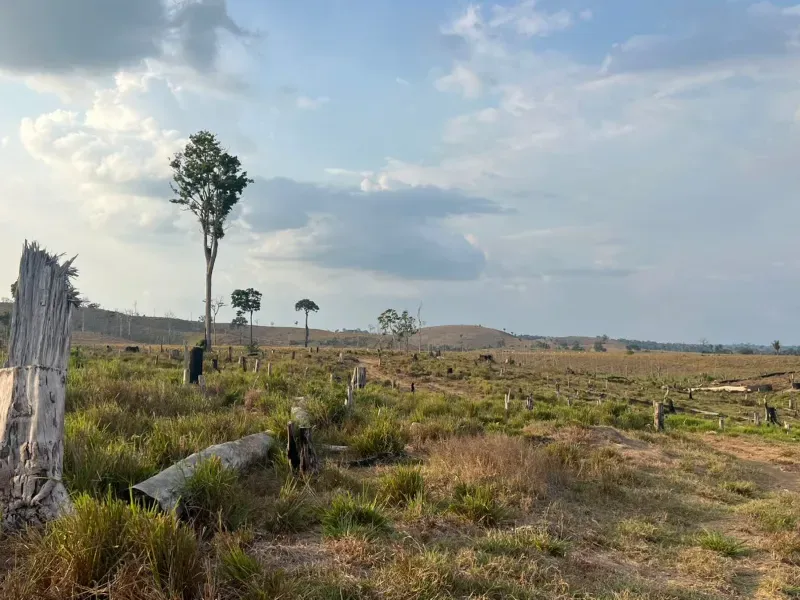 Fazenda em Pacajá/Pará — Ref W732NU — Imagem 3