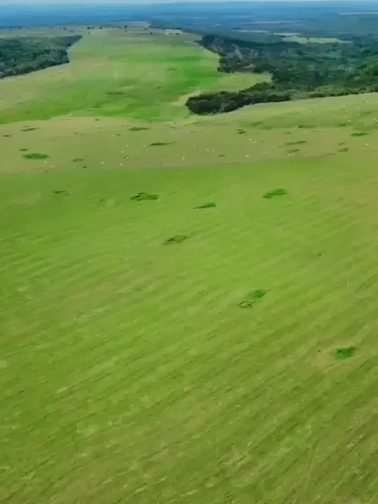 Fazenda em Nova Xavantina/Mato Grosso — Ref EQH6LX — Imagem 9
