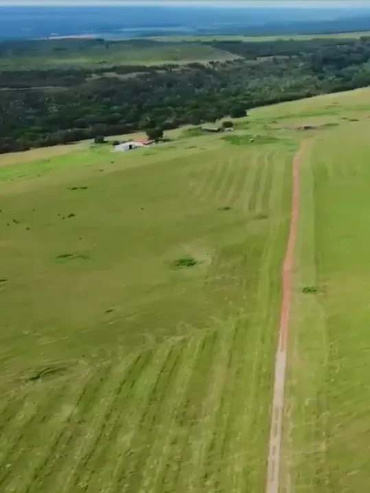 Fazenda em Nova Xavantina/Mato Grosso — Ref EQH6LX — Imagem 7
