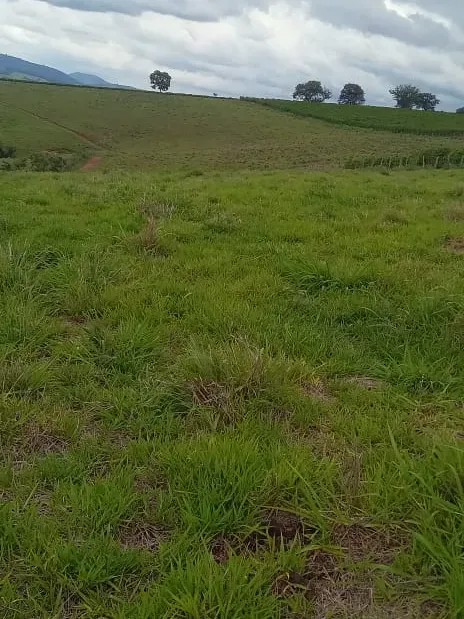 Sítio em Monte Belo/Minas Gerais — Ref 3DGPTK — Imagem 16