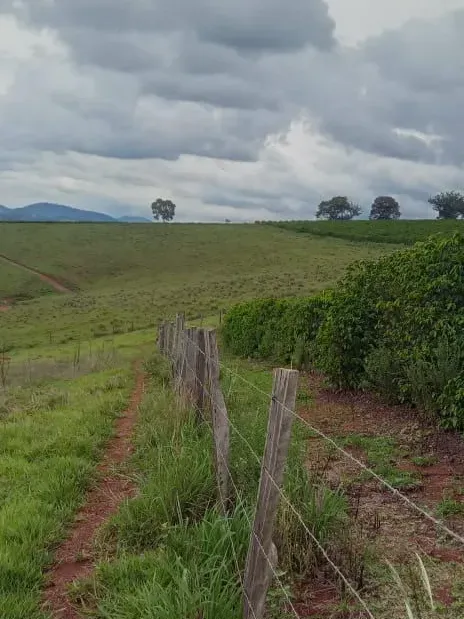Sítio em Monte Belo/Minas Gerais — Ref 3DGPTK — Imagem 3