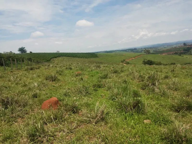 Sítio em Monte Belo/Minas Gerais — Ref 3DGPTK — Imagem 14