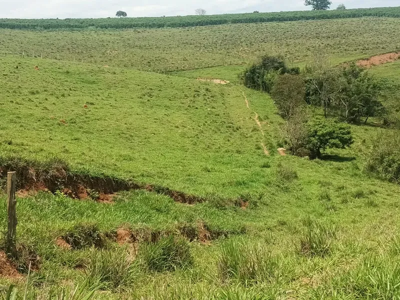 Sítio em Monte Belo/Minas Gerais — Ref 3DGPTK — Imagem 12