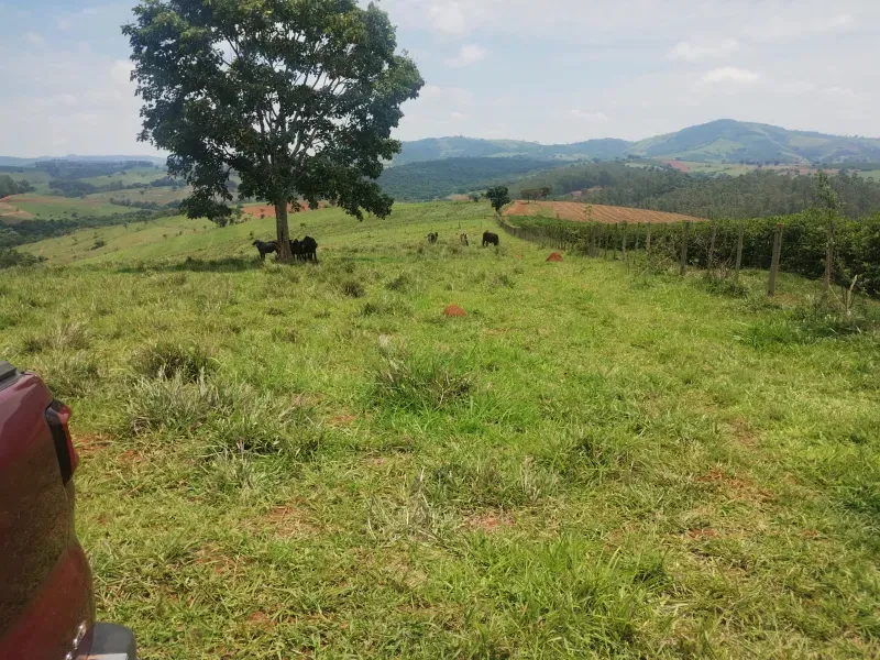Sítio em Monte Belo/Minas Gerais — Ref 3DGPTK — Imagem 4