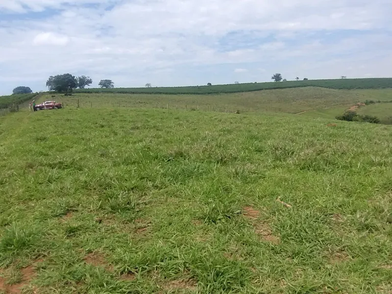 Sítio em Monte Belo/Minas Gerais — Ref 3DGPTK — Imagem 10