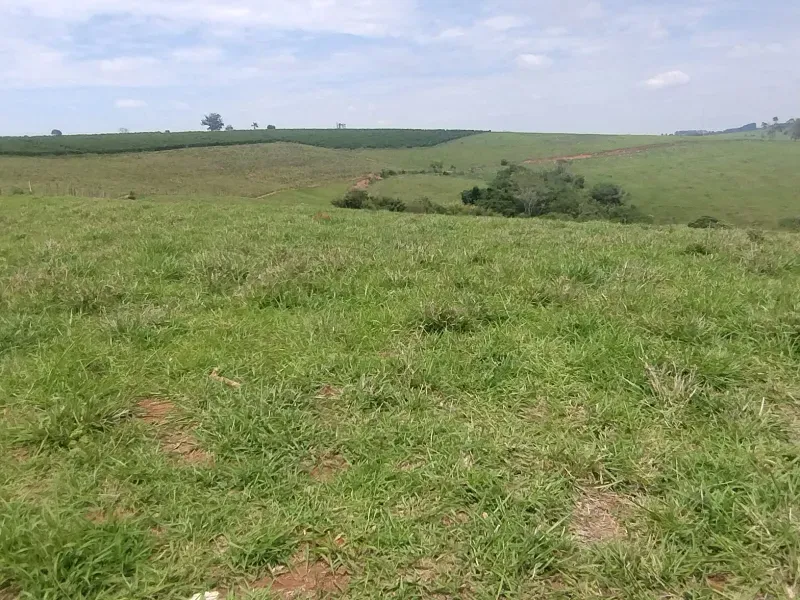 Sítio em Monte Belo/Minas Gerais — Ref 3DGPTK — Imagem 11