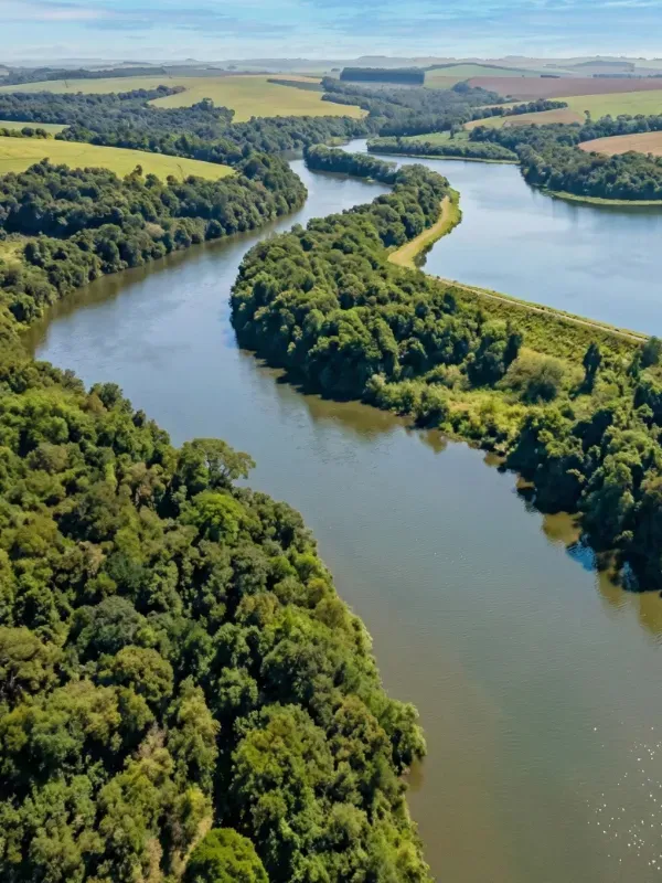 Fazenda em Palmeirópolis/Tocantins — Ref 0NJ509 — Imagem 3