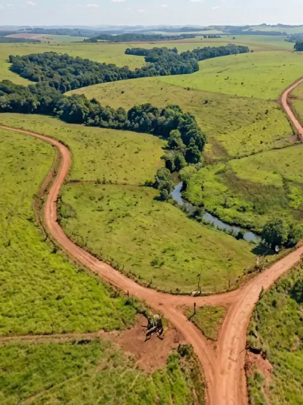 Fazenda em Palmeirópolis/Tocantins — Ref 0NJ509 — Imagem 5