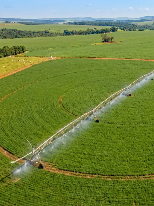 Fazenda em Palmeirópolis/Tocantins — Ref 0NJ509 — Imagem 6