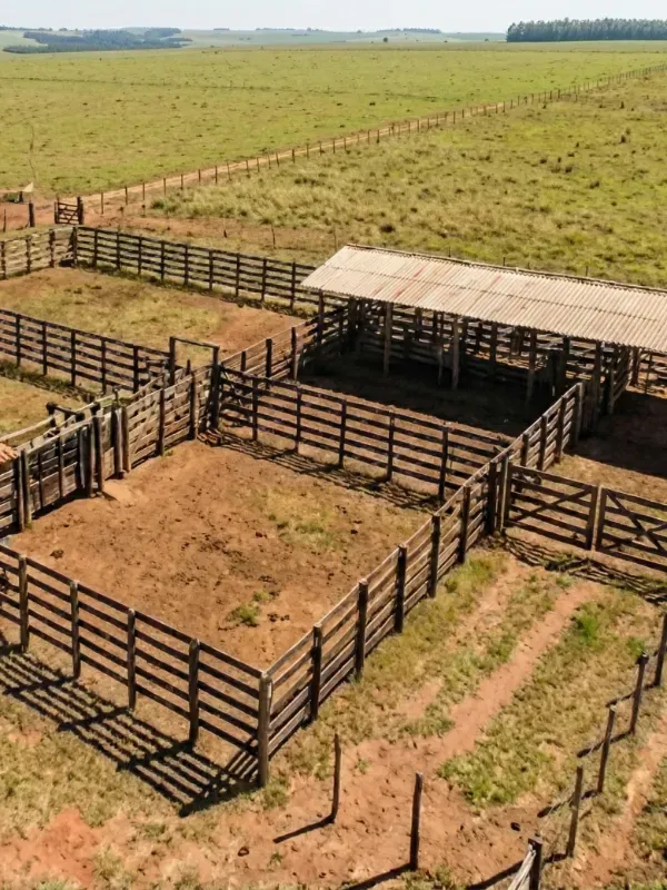 Fazenda em Palmeirópolis/Tocantins — Ref 0NJ509 — Imagem 7