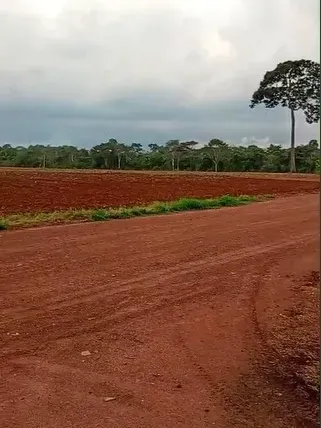 Fazenda em Nova Monte Verde/Mato Grosso — Ref 9WXCWR — Imagem 5