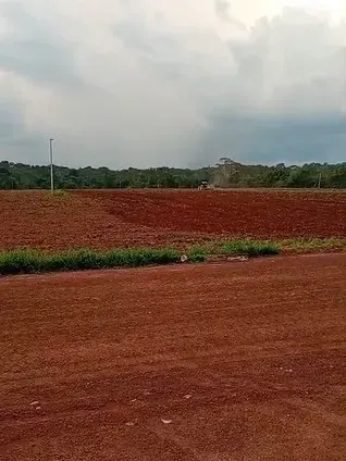 Fazenda em Nova Monte Verde/Mato Grosso — Ref 9WXCWR — Imagem 6