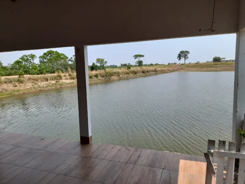 Fazenda em Dueré/Tocantins — Ref 5T73N1 — Imagem 3