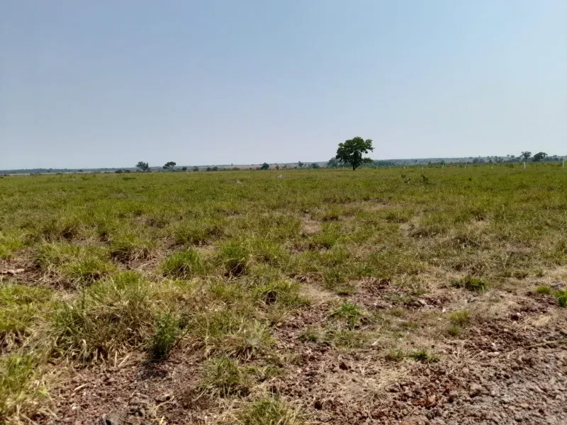 Fazenda em Dueré/Tocantins — Ref 5T73N1 — Imagem 6