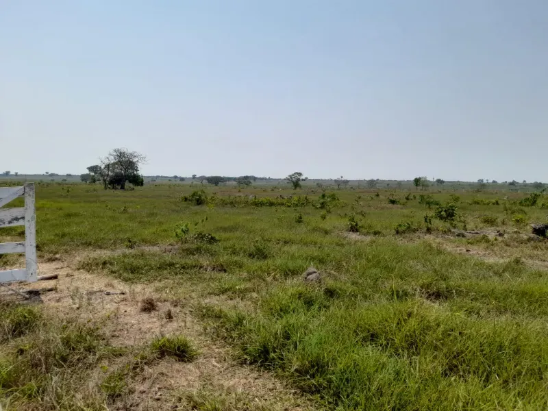 Fazenda em Dueré/Tocantins — Ref 5T73N1 — Imagem 7