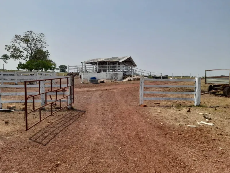 Fazenda em Dueré/Tocantins — Ref 5T73N1 — Imagem 10