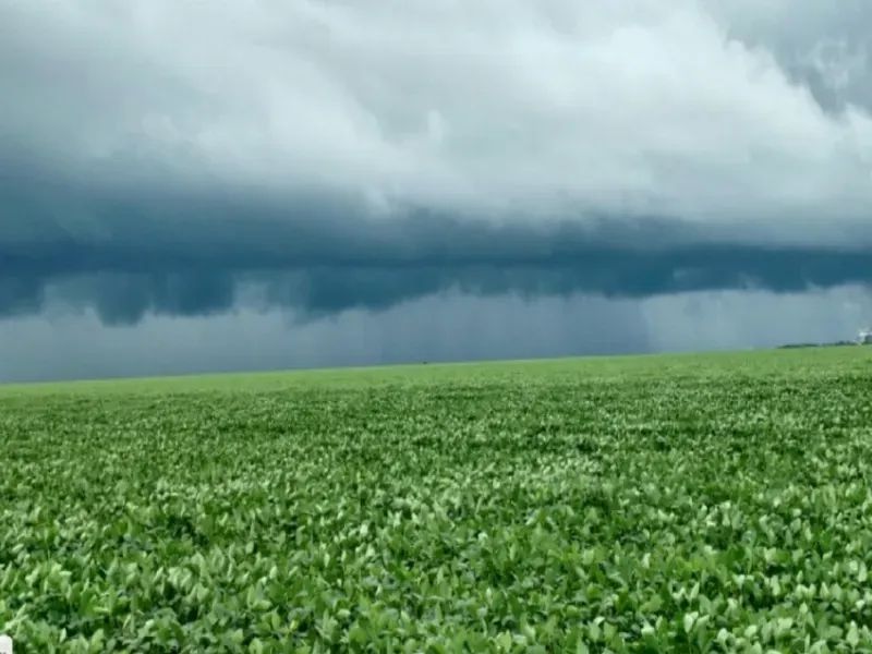 Fazenda em Bom Jesus/Piauí — Ref LFSIIK — Imagem 3