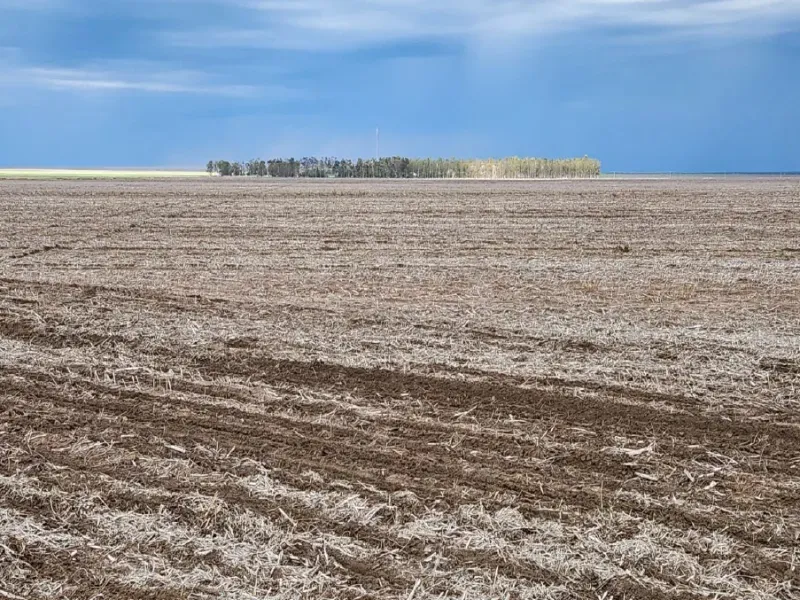 Fazenda em Bom Jesus/Piauí — Ref LFSIIK — Imagem 7
