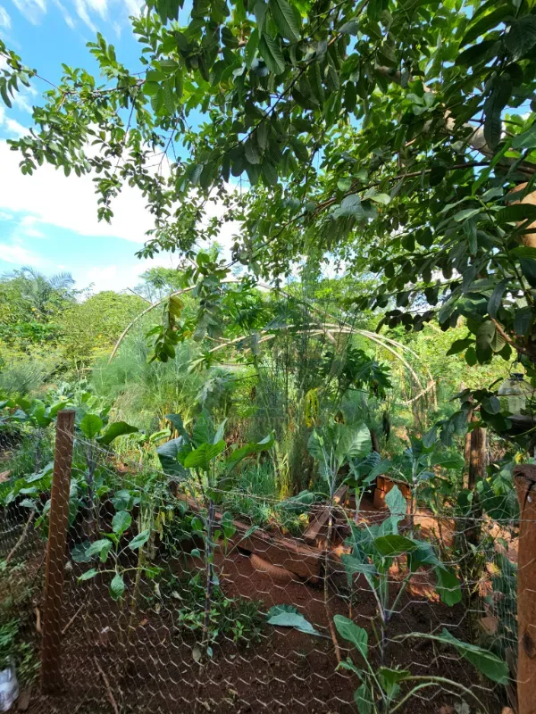 Chácara em Luziânia/Goiás — Ref 8RV9DW — Imagem 12