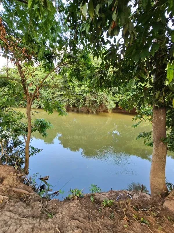 Chácara em Luziânia/Goiás — Ref 8RV9DW — Imagem 15