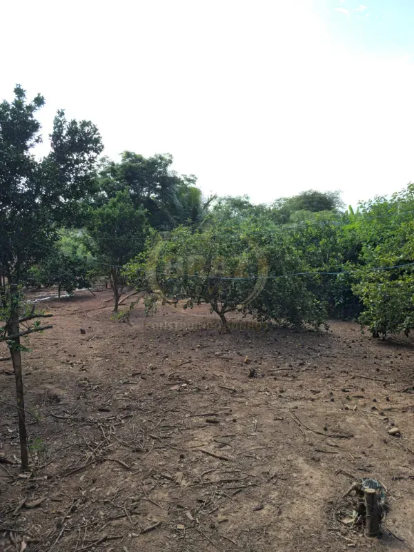 Chácara em Luziânia/Goiás — Ref 8RV9DW — Imagem 18