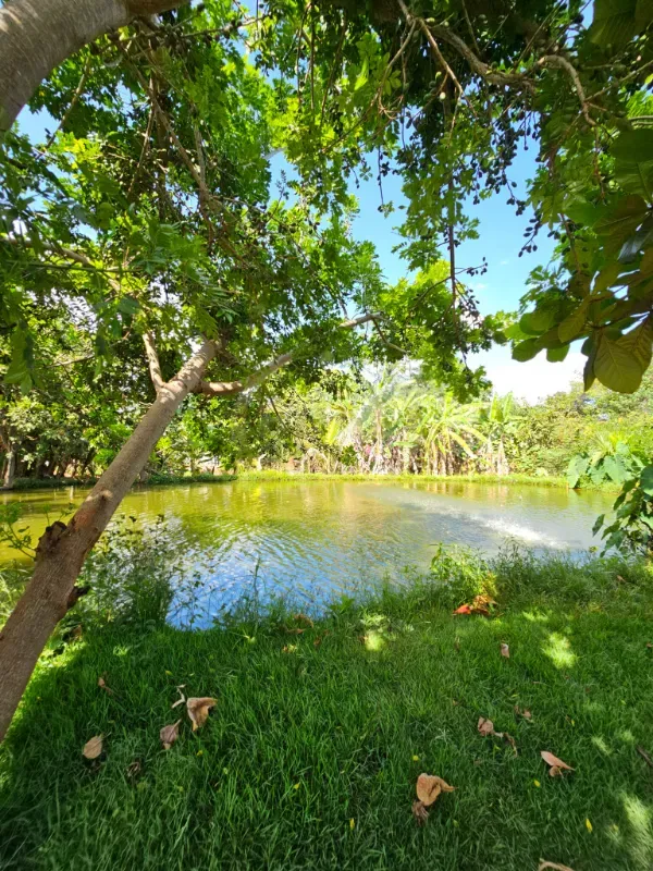 Chácara em Luziânia/Goiás — Ref 8RV9DW — Imagem 24