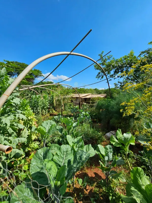 Chácara em Luziânia/Goiás — Ref 8RV9DW — Imagem 25