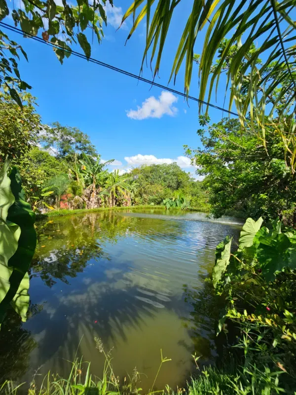 Chácara em Luziânia/Goiás — Ref 8RV9DW — Imagem 26