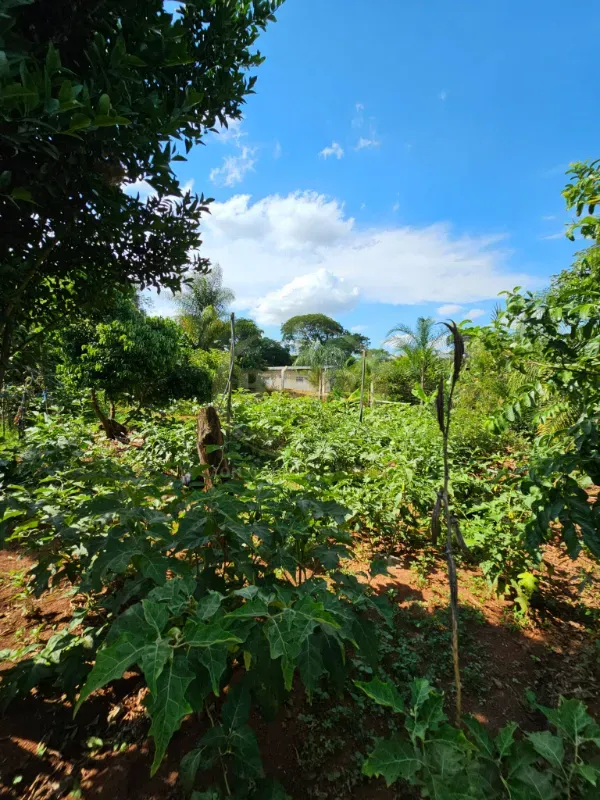 Chácara em Luziânia/Goiás — Ref 8RV9DW — Imagem 28