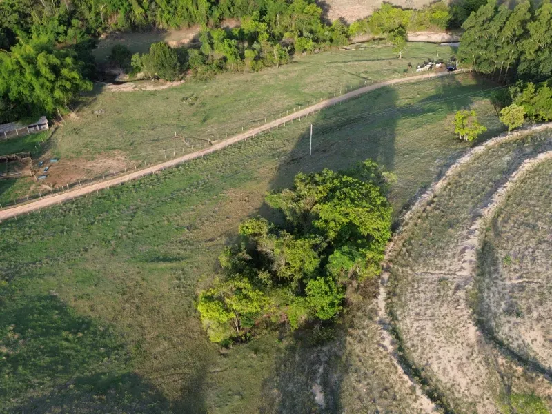 Sítio em Santo Antônio da Alegria/São Paulo — Ref WIUOQY — Imagem 10