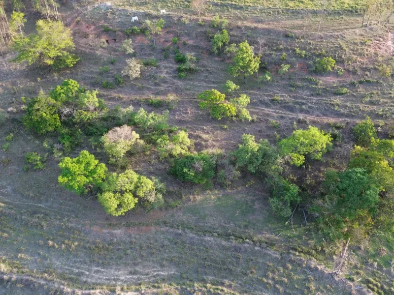 Sítio em Santo Antônio da Alegria/São Paulo — Ref WIUOQY — Imagem 12